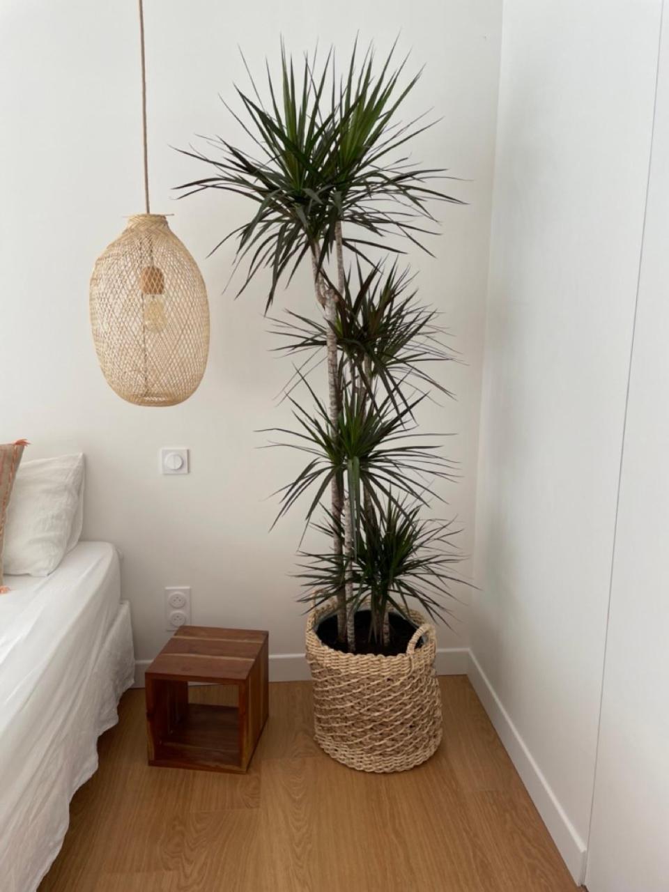 Homestay 671 *